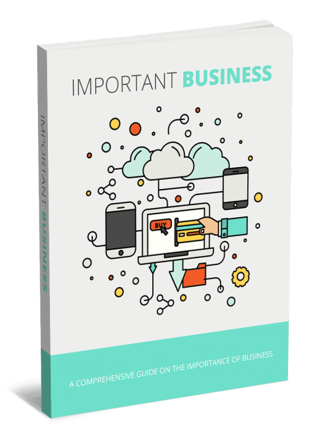 Business builder PLR digital guide with resell rights, strategy and ROI analysis blueprint