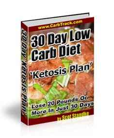 30 Day Low Carb Diet Ketosis Plan digital PLR guide for effortless weight loss with resell rights