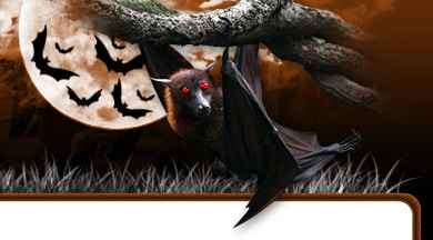 5 Halloween Templates PLR pack for spooky flyers, social graphics and resell rights