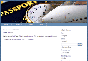 Digital PLR MRR themes bundle volume 4 preview graphic for resell rights download