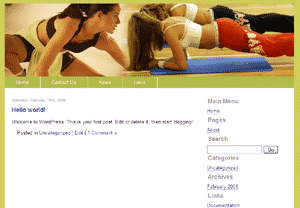 5 Themes X3 Vol3 - clean website templates with PLR/MRR resell rights in HTML Joomla WordPress