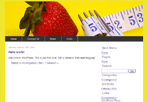 5 Website Themes Vol1 digital download with PLR MRR resell rights ready for WordPress Joomla HTML