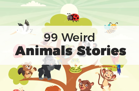 99 weird animal stories PLR package for kids – ebook, images, video with resell rights