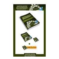 Affiliate Marketing Minisite Package digital download with PLR MRR resell rights