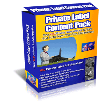 Box-step-2 animated GIF illustrating 600+ PLR articles with resell rights for digital download