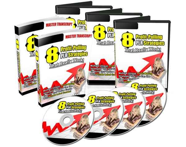 8 profit-pulling PLR strategies digital download with resell rights
