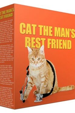 Cat Mans Best Friend PLR Articles