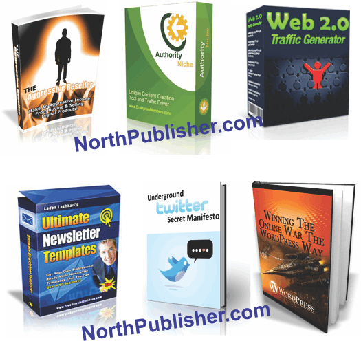 MRR Package 6 – 25 PLR ebooks and software resell bundle with full rights