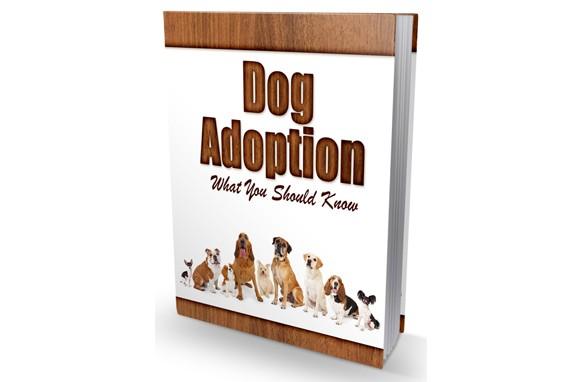 Dog adoption digital product with PLR and MRR resell rights for pet owners and entrepreneurs