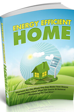 Energy Efficient Home