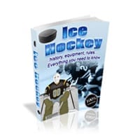 Newbies Guide To Online Hobby Profits