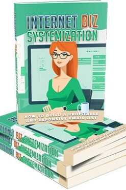 Internet Biz Systemization