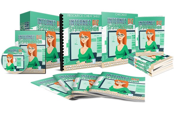 Internet Biz Systemization blueprint: automate your online business with PLR MRR resell rights digital course package