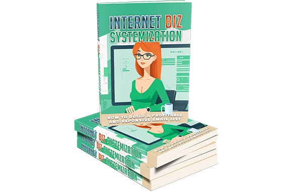 Internet business systemization blueprint ebook with PLR MRR resell rights for automation and scaling