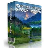 Magnetic Video Marketing