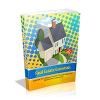 Internet Business Legal Options