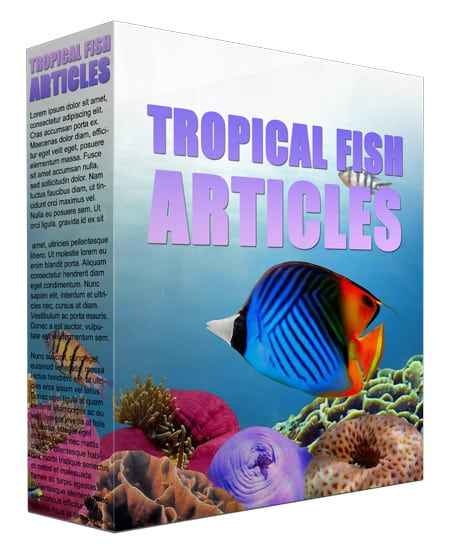 Tropical fish PLR MRR digital download content package with resell rights for aquarium niche