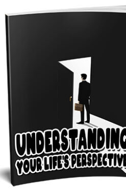Understanding Your Life’s Perspective