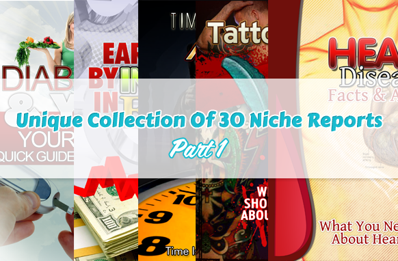 30 niche reports PLR bundle with opt-in lead pages digital download resell rights