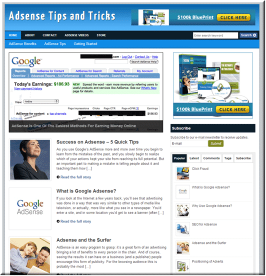 AdSense Niche PLR Blog ready to install digital download with resell rights