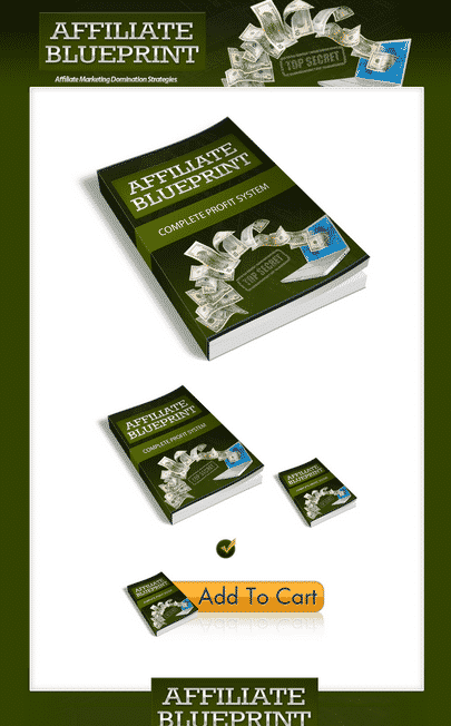 Affiliate Marketing Minisite Package digital download with PLR MRR resell rights