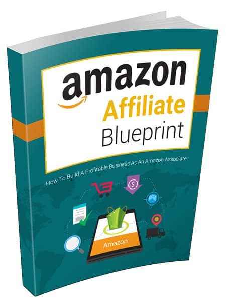 Amazon Affiliate Blueprint PLR digital download guide for building profitable affiliate business