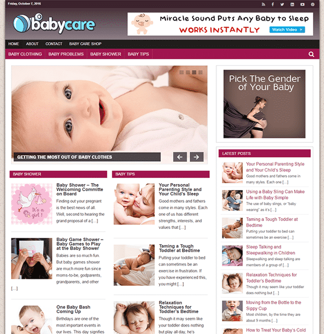 Baby care PLR blog – ready-made WordPress site with done-for-you content, graphics, and resell rights for passive income.