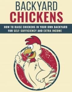 Backyard Chickens