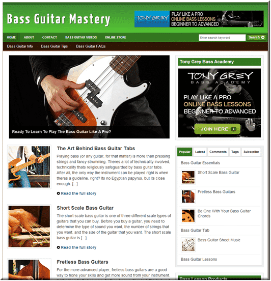 Bass Guitar Turnkey PLR Website – Ready-Made Niche Blog Instant Download