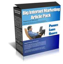 Big Internet Marketing Article Pack with PLR/MRR – 200 articles on SEO, blogging, and affiliate marketing