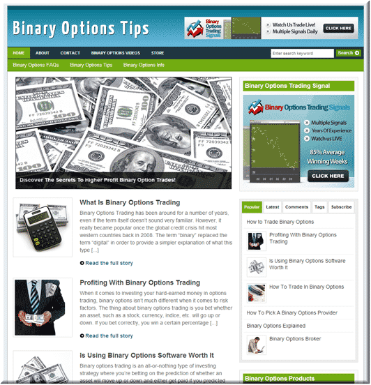 Binary Options PLR Blog - ready-made niche website with resell rights for instant online business