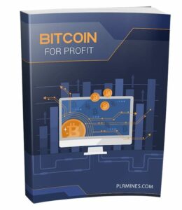 Bitcoin for Profit PLR eBook with resell rights – digital download guide