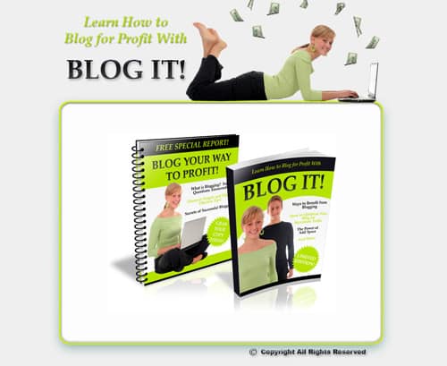 Blog minisite with PLR resell rights digital download product preview