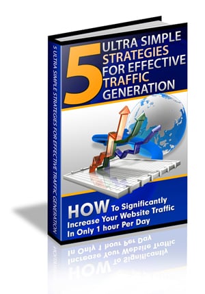 Website promotion guide book cover – digital PLR download for traffic growth strategies