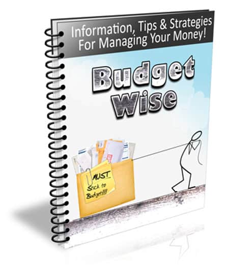 Budget Wise Newsletter digital PLR product with money management tips and resell rights