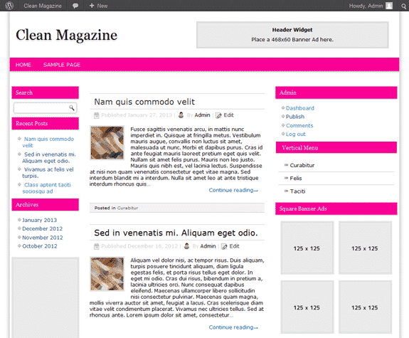 Clean Magazine Responsive WP Theme with 30 color schemes and PLR resell rights