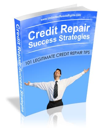 Credit Repair Success Strategies - a comprehensive PLR guide to boost your credit score and repair financial damage