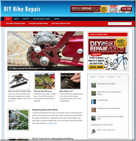 DIY Bike Repair Niche Blog – ready-made PLR website with resell rights, mobile responsive theme