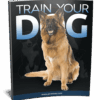 Dog Training Tips