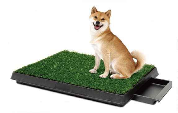 Dog potty training guide with PLR resell rights for instant digital download