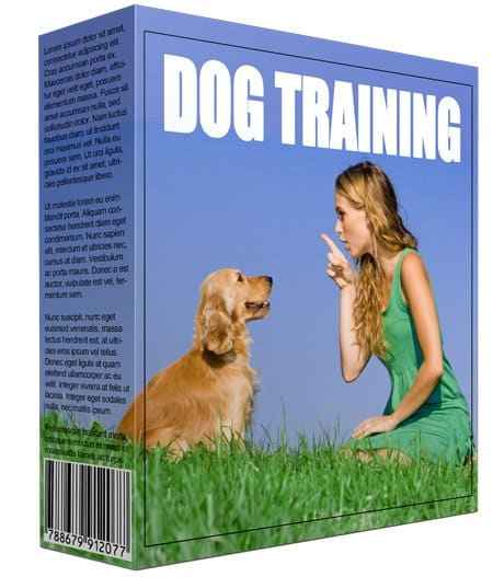 Dog training niche PLR digital product for resellers to make money online