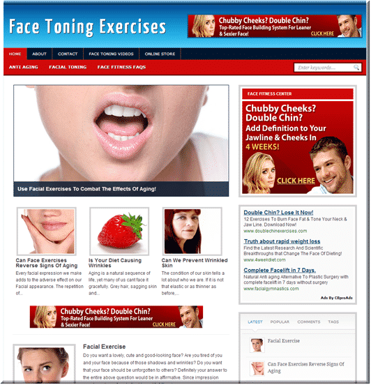 Face Fitness Turnkey Site - ready-made WordPress blog with PLR/MRR resell rights for profitable niche marketing