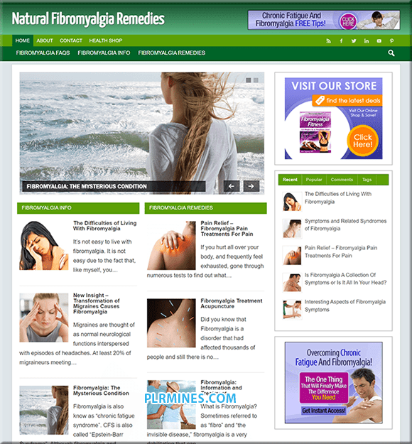 Ready-made Fibromyalgia Remedy PLR blog with content, graphics, and monetization potential