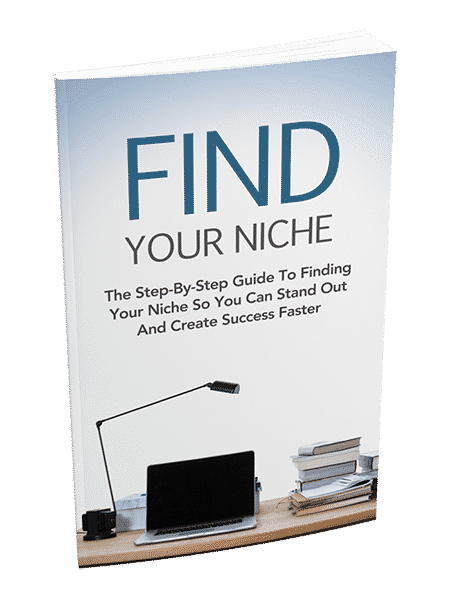 Find your profitable niche guide with PLR & MRR resell rights for online business success