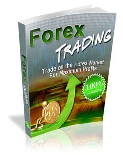 Forex trading digital guide with PLR MRR rights for reselling and learning currency trading basics