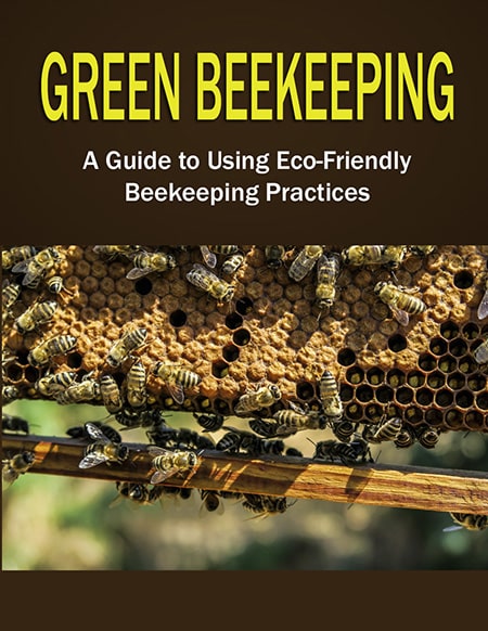 Green beekeeping guide eBook with PLR MRR rights – natural bee care practices