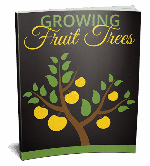 Digital eBook guide to growing fruit trees in home garden with PLR resell rights