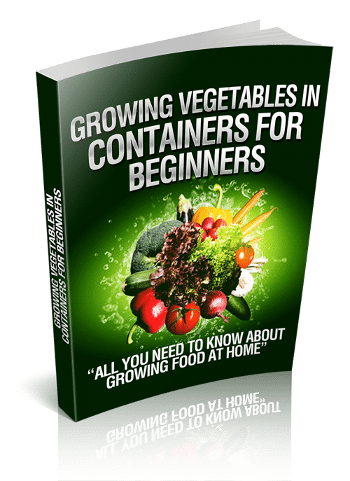 Growing Vegetables In Containers For Beginners digital PLR guide with resell rights for home gardeners