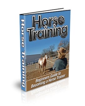 Horse training guide with PLR rights teach horse obedience and riding commands digital download