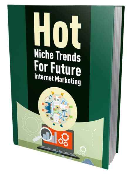 Hot Niche Trends For Future Internet Marketing - digital PLR eBook cover image